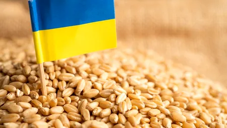 Uniunea Europeană majorează cotele de IMPORT pentru anumite produse agricole din Ucraina