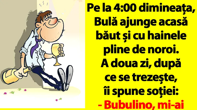 BANC | Bulă ajunge acasă băut și cu hainele pline de noroi