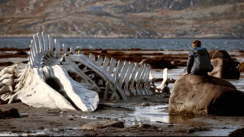 Leviathan, de Andrei Zvyagintsev, a câștigat marele premiu al Festivalului de Film de la Londra