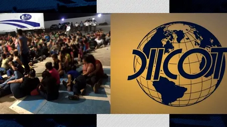 EXCLUSIV | Cum operează, în România, mafia refugiaților arabi. Creierul rețelei - un palestinian cu legături în teatrele de război