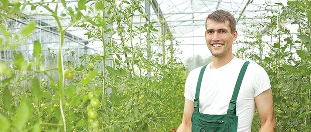 SPRIJIN: Subventie de 4.800 euro/ha pentru legumele cultivate în sere și solarii. APIA plătește sprijinul cuplat în sectorul vegetal pentru Campania 2020