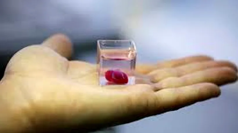 Prima mini-inimă umană, cultivată într-un laborator, îi va ajuta pe oamenii de știință să găsească modalități de a trata afecțiunile cardiace
