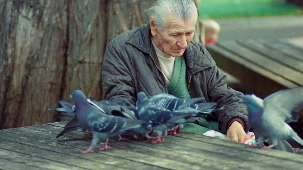 Dosar penal pentru abuz în serviciu deschis la AZILUL groazei din Pitești după ce trei bătrâni au fost găsiți trăind în condiții mizere într-un subsol