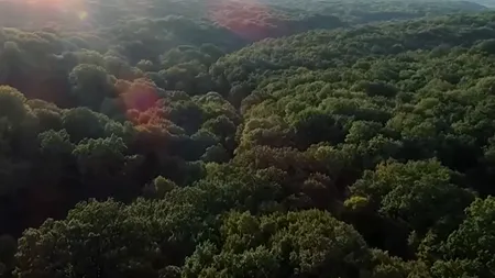 Unde ar putea fi primul parc natural din regiunea Moldovei. Peste 36.000 de oameni au semnat deja o PETIȚIE pentru a salva o pădure de la defrișări