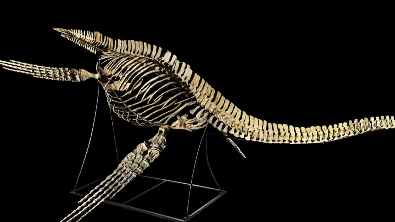 Cel mai mare dinozaur din lume a fost descoperit: Fosilele capturează un moment în timp, acum 170 de milioane de ani