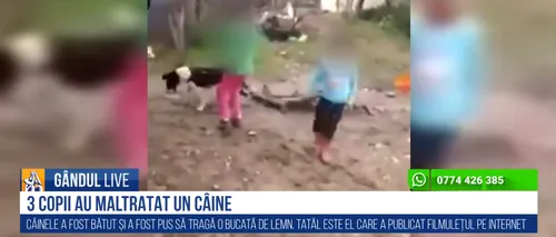 GÂNDUL LIVE. Cruzime fără margini în Argeș: Trei copii chinuie un câine, iar tatăl lor filmează totul - VIDEO
