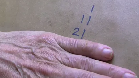 TEST. 1, 11, 21, 1211. Ce număr urmează în serie?