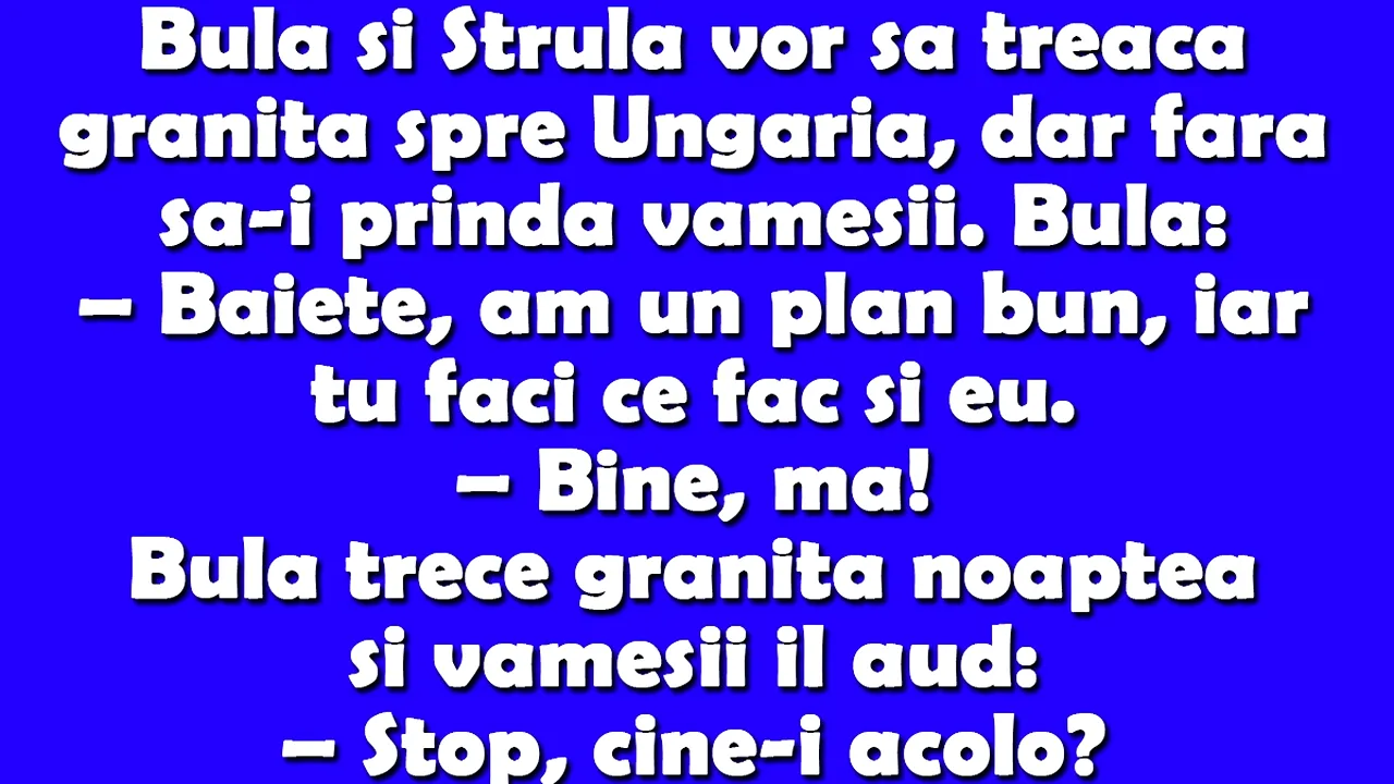 BANC | Bulă și Ștrulă vor să treacă granița spre Ungaria, dar fără să-i prindă vameșii