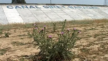 Guvernul înființează o regie pentru canalul Siret-Bărăgan, proiect lansat de Ceaușescu și amânat 26 ani