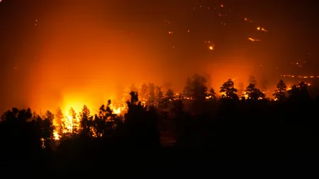 Canicula face prăpăd în Canada. Aproape 500 de persoane au murit