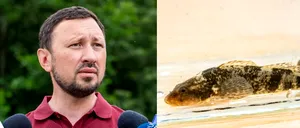 Ministrul Mediului, despre cel mai rar pește de apă dulce, regăsit doar în România: „Aici, în râul Vâlsan, este SINGURUL loc unde mai poate fi văzut!”
