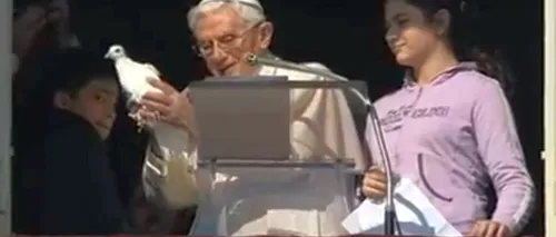 Porumbelul păcii, eliberat de Papa Benedict XVI, atacat de un pescăruș