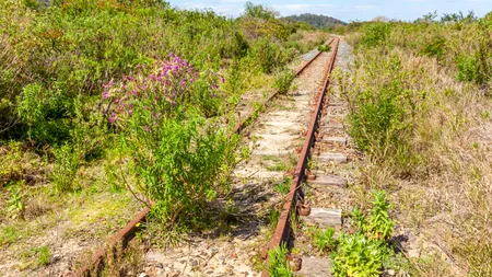 Mocănița din Vâlcea, simbol al patrimoniului industrial, ar putea fi readusă la viață