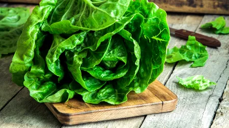 Salata verde nu se va înmuia sau nu se va ofili, timp de două săptămâni, dacă faci un lucru simplu aflat la îndemâna oricui