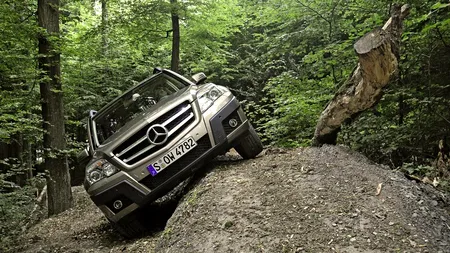 Mercedes-Benz România va avea un nou CEO