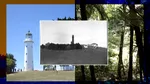 În 1984, un paznic de far a rămas șomer pe insula Tiritiri Matangi din Noua Zeelandă. Decizia luată de bărbat a schimbat radical istoria locului