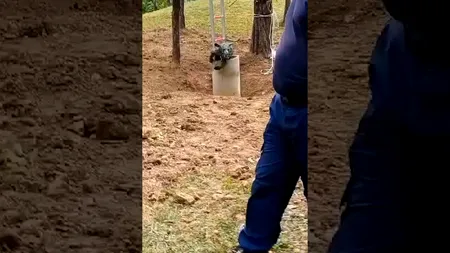 VIDEO | Prahova: Misiune neobișnuită. Un urs a fost salvat de pompieri dintr-o fântână