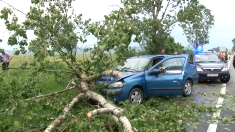Furtunile puternice au făcut ravagii la Sibiu și Galați. Un copil a ajuns la spital după ce un copac a căzut pe mașina în care se afla