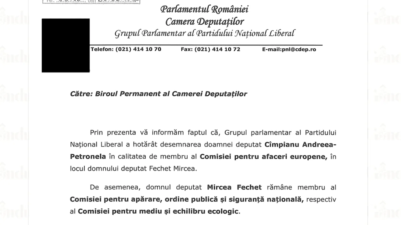 După ce a racolat-o pe deputata Cîmpianu de la SOS, PNL o numește membru al Comisiei pentru afaceri europene, în locul lui Mircea Fechet