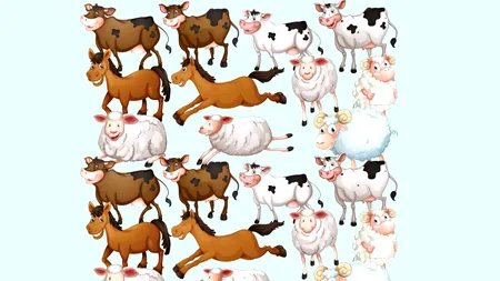 TEST de perspicacitate | Găsiți singurele două animale identice din această imagine!