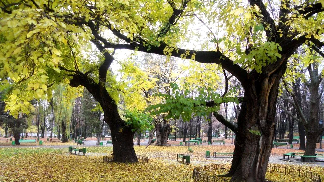 ANM a publicat prognoza meteo pentru următoarele 4 săptămâni. Cu va fi vremea până la jumătatea lunii aprilie