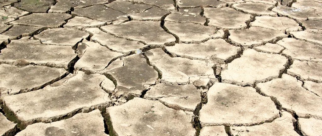 Fenomenul El Nino se întoarce. Încă o vară cu secetă cumplită în România