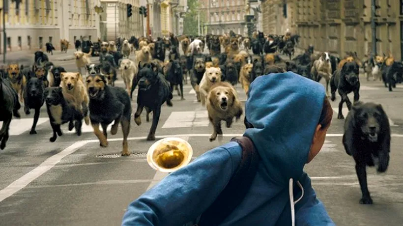 Orașul câinilor, propunerea Ungariei la Oscar, are premiera în cinematografele din România