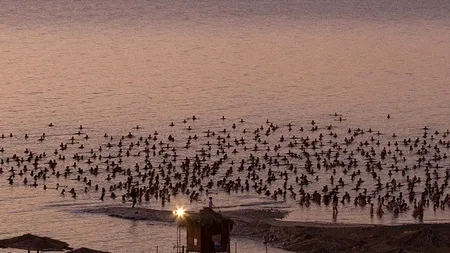 Destinații pe cale de dispariție: 10 locuri de vizitat acum ori niciodată