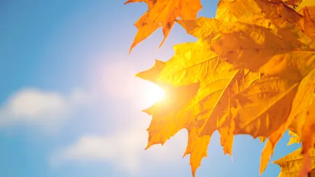 Vremea de azi, 2 noiembrie. Temperaturi în scădere, în majoritatea regiunilor. Maxime de 20 de grade în București