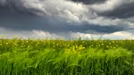 Vremea la extreme: de la 28 de grade Celsius la posibile ninsori în Capitală!/ANM anunță cod galben de ploi și vânt puternic în jumătate de țară
