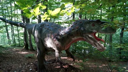 Câți turiști au vizitat în ultimele două luni Dino Parc Râșnov