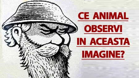 Test de inteligență | Ce animal observi în această imagine? 9 din 10 se lasă bătuți!