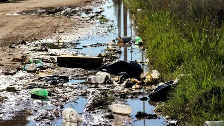 Anchetă a Consiliul Concurenței. 11 licitații, pentru servicii de salubritate, ar fi fost trucate în Mureș