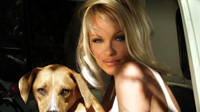 Pamela Anderson divorțează de Rick Salomon pentru a doua oară