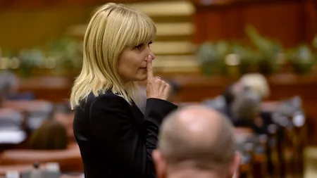 Ce va face Elena Udrea când deputații vor vota, a doua oară, arestarea preventivă
