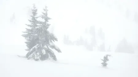 Vreme deosebit de rece, îngheț la sol și precipitații mixte până joi seară. E cod GALBEN de vânt puternic, viscol şi zăpadă