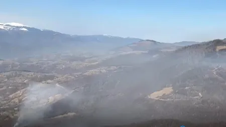 INCENDIUL de la Boișoara nu a fost stins. 60 de hectare de pădure, afectate. Mobilizare impresionantă a pompierilor din Vâlcea