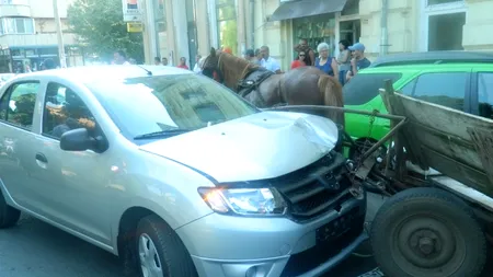 Se întâmplă în România. Ce a făcut un cal lăsat nesupravegheat în trafic