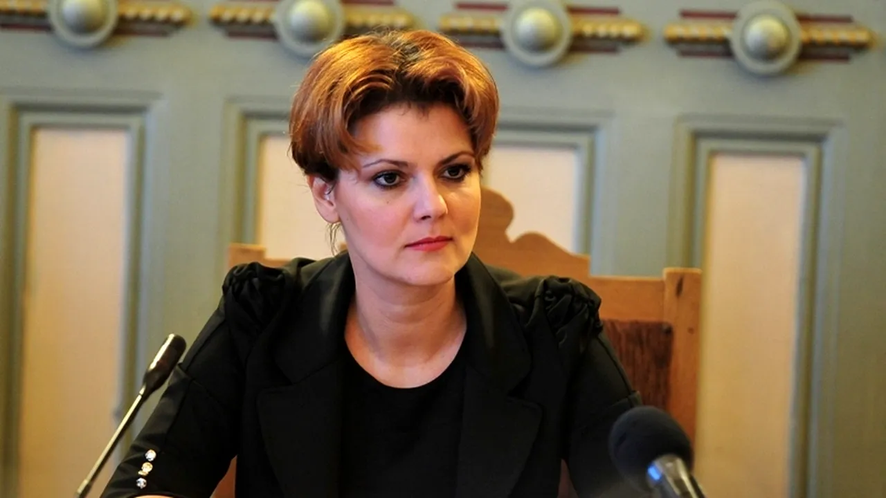 Raportul comisiei anti-plagiat în cazul tezei de doctorat a Olguței Vasilescu. „Capitolul 7 se găsește în totalitate pe internet, fără a se putea stabili autorul
