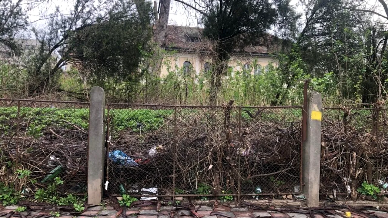 Ce s-a ales de o clădire istorică din Iași, care valorează 1,2 milioane de euro. A devenit „casă” pentru șobolani și oameni fără adăpost