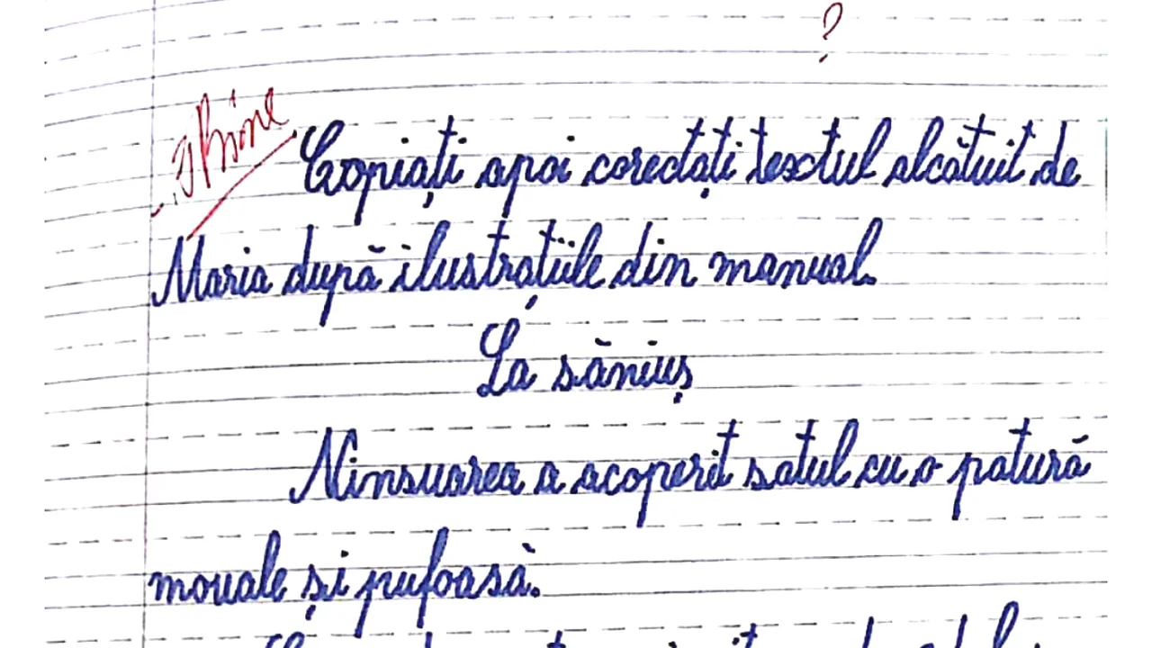 PATINUAR, nu PATINOAR! Un exercițiu ÎNȚELES GREȘIT aruncă oprobiul public asupra învățătorului din Iași