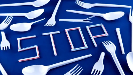 Paiele, bețișoarele de urechi și tacâmurile din plastic de unică folosință, interzise în România. Ministrul Mediului a anunțat de când nu vor mai fi vândute