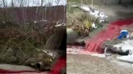 Râu de sânge lângă Bascov: „Ne batem joc de mediu și de oameni!”