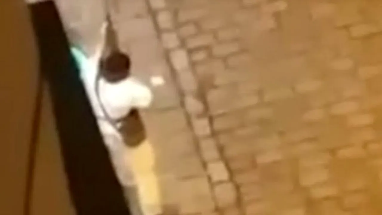 GÂNDUL LIVE. Mărturiile românilor prinși în infernul din Viena: „Cine a apucat să scape a scăpat atunci” (FOTO & VIDEO)