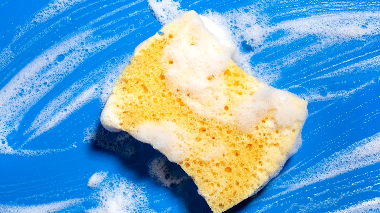 Ce se întâmplă dacă pui SARE pe buretele de vase. Rezultatul te scapă de o mare problemă