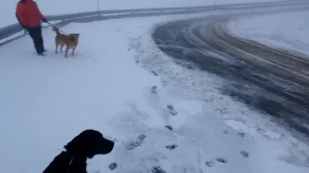 Ninge pe Transfăgărăşan. Stratul de zăpadă ajunge până la 10 cm