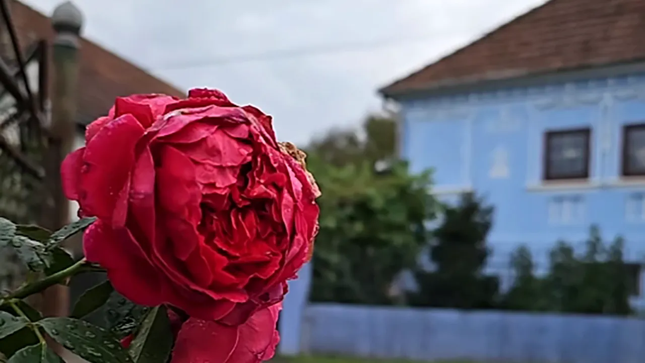 Locul SUPERB din România cunoscut de puțini turiști. Unde se află colțul de rai cu case vechi de sute de ani