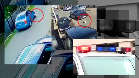 VIDEO. Imagini revoltătoare. Un șofer a călcat intenționat un câine pe o stradă din București. „Ar fi putut să dea și peste un copil fără să frâneze”