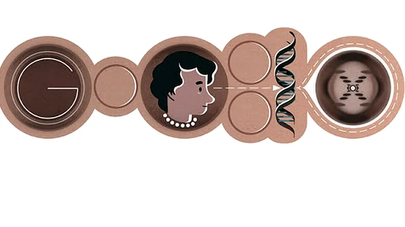 ROSALIND FRANKLIN are Google Doodle. Logo pentru ROSALIND FRANKLIN, biofiziciana care a dus la descoperirea dublu-helixului din ADN