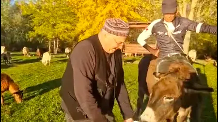 Poezia lui Mircea Dinescu: Mărturisirea căprarului Ciucurel, căruia i s-a arătat Drona în pădurea de la Maglavit